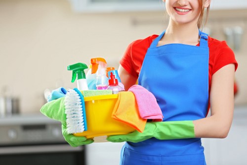 Professional domestic cleaning service for an Edgware home interior