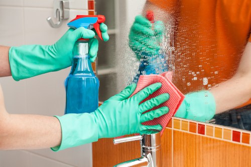 Professional gutter cleaning service for homes in Edgware