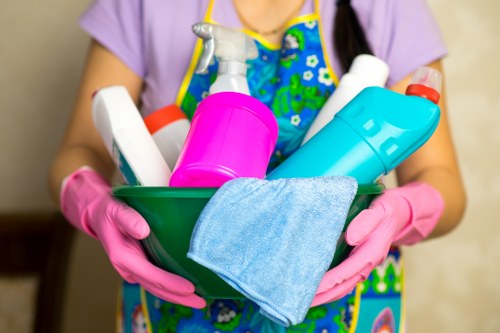 Professional steam carpet cleaning in an Edgware home with deep-cleaning equipment