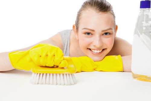 Commercial gutter cleaning for premises in Edgware