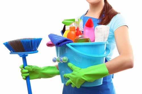 Deep cleaning of fabric upholstery in a living room setting