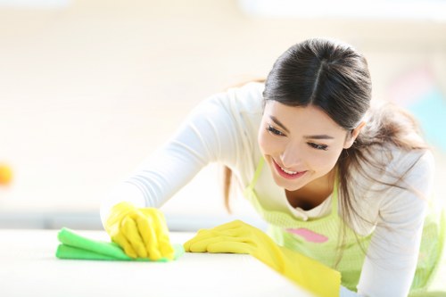 Waste disposal and property safety during cleaning