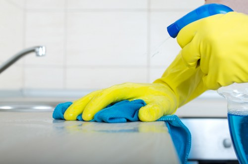 Cleaner preparing equipment for a safe cleaning service