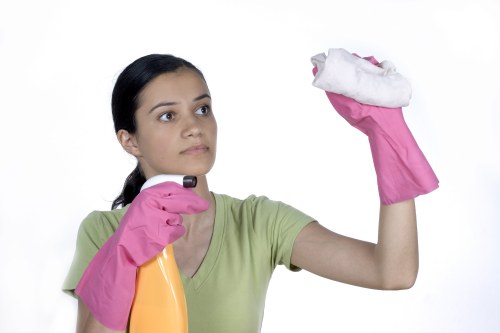 Professional pet stain cleaning service in an Edgware flat or house