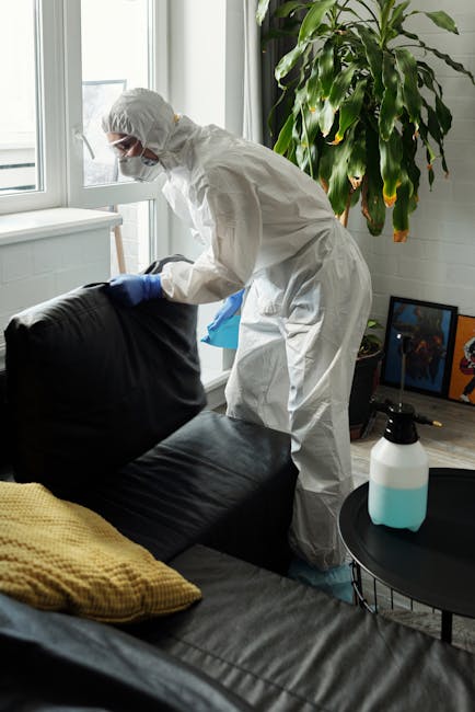 Two professional cleaners from Edgware Cleaner are performing surface cleaning and deep cleaning in a modern living room. One cleaner is using a vacuum cleaner to remove dust and debris from the hardwood floor, while the other is utilizing a mop to clean the tiled area near the fireplace. The room features a contemporary style with a grey fabric sofa, decorative cushions, and a glass coffee table centered on a wooden floor. Natural light enters through two large windows in the background, illuminating the clean and tidy space. The scene demonstrates thorough domestic cleaning and sanitation efforts to maintain a hygienic living environment.
